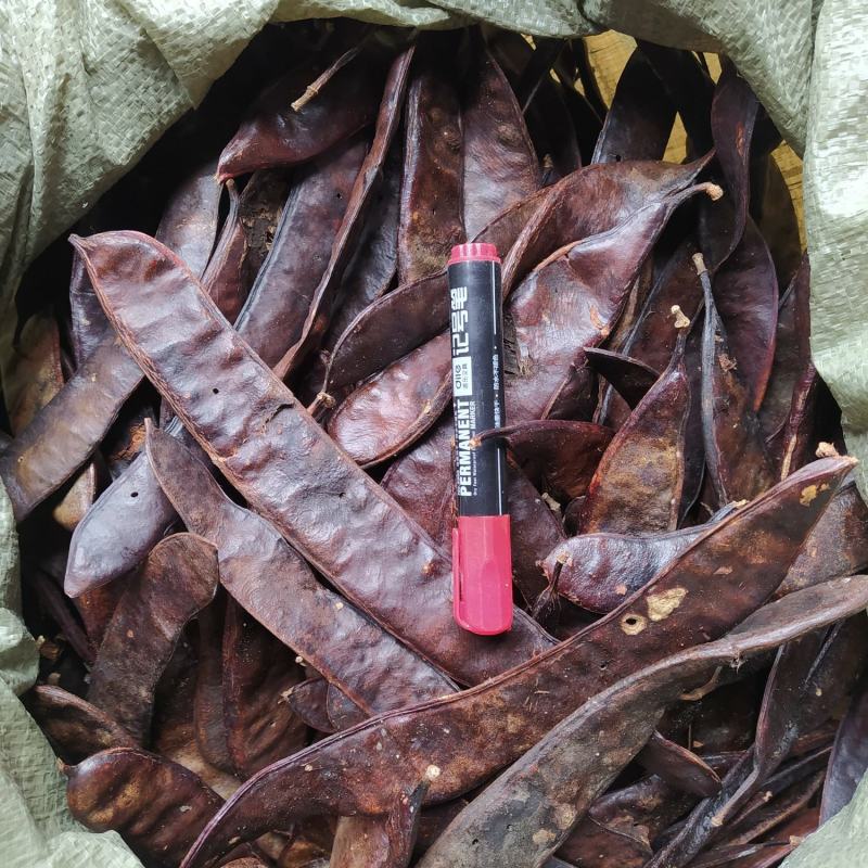 贵州铜仁大皂角片干货皂荚干品洗头洗澡洗脚去屑止痒护发润肤