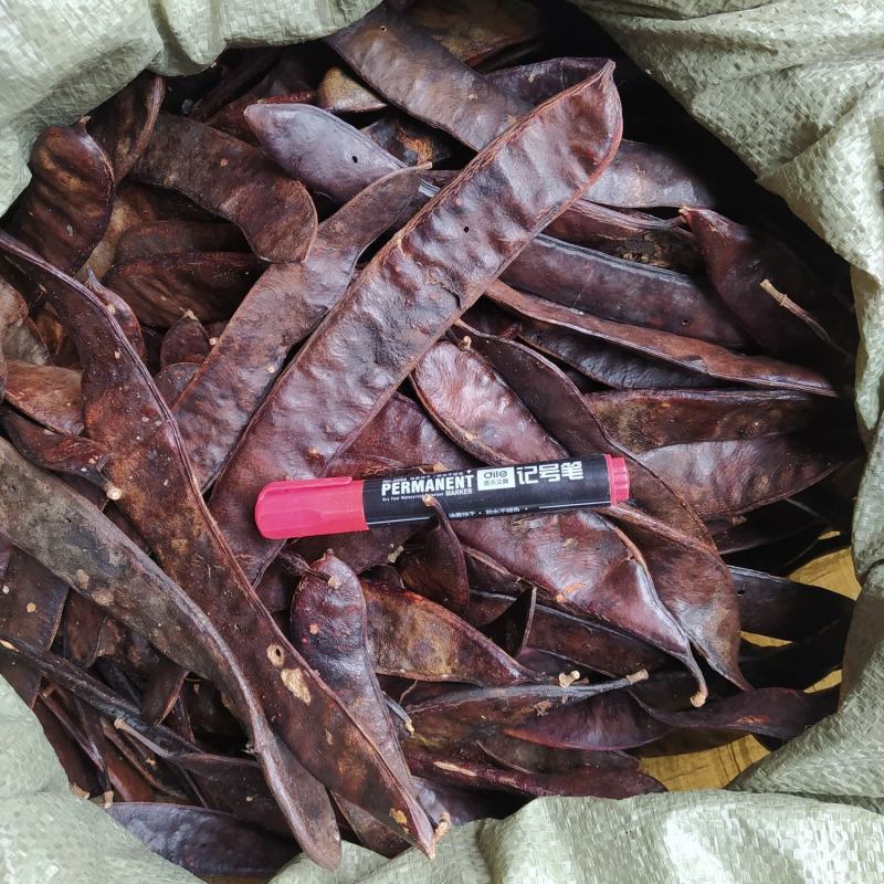 贵州铜仁大皂角片干货皂荚干品洗头洗澡洗脚去屑止痒护发润肤