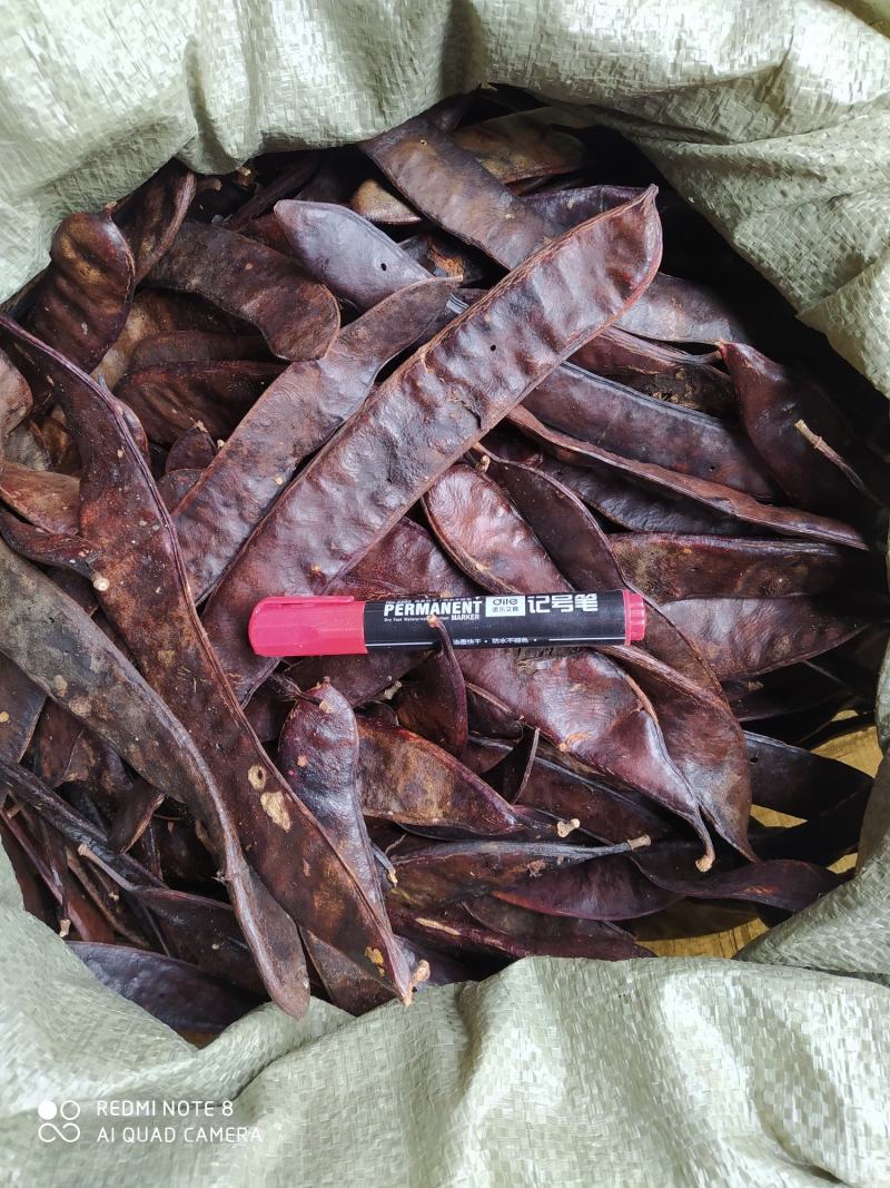 贵州铜仁大皂角片干货皂荚干品洗头洗澡洗脚去屑止痒护发润肤