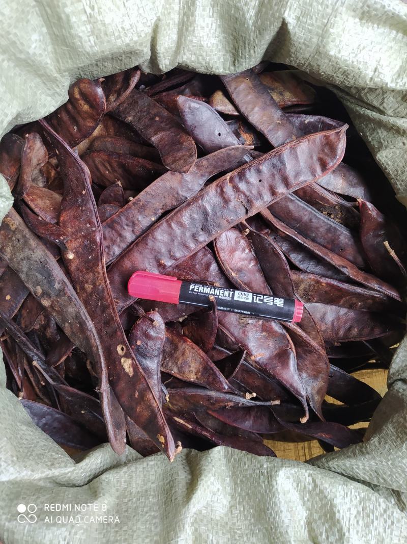 贵州铜仁大皂角片干货皂荚干品洗头洗澡洗脚去屑止痒护发润肤