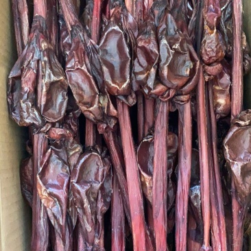 牛鞭干牛鞭，批发零售各种鞭批发零售量大从优