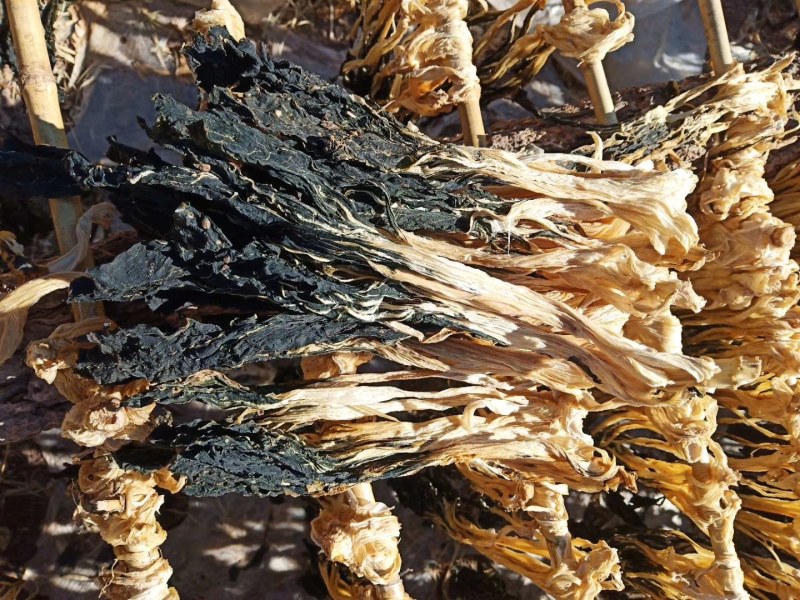 脱水白菜散装白菜干兰州菜干50斤/件（散菜）