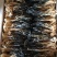 脱水白菜散装白菜干兰州菜干50斤/件（散菜）