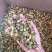 无硫杭白菊，亳菊，药食同源。