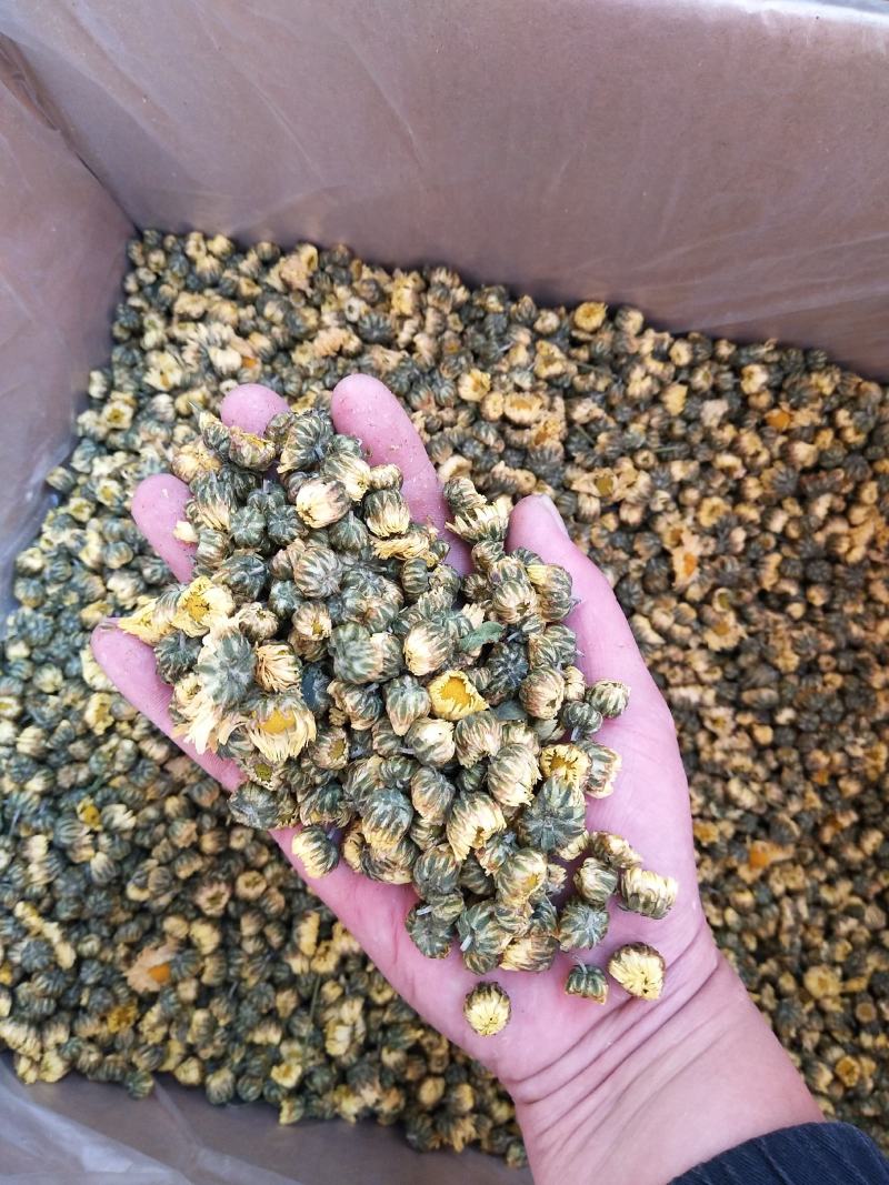 无硫杭白菊，亳菊，药食同源。