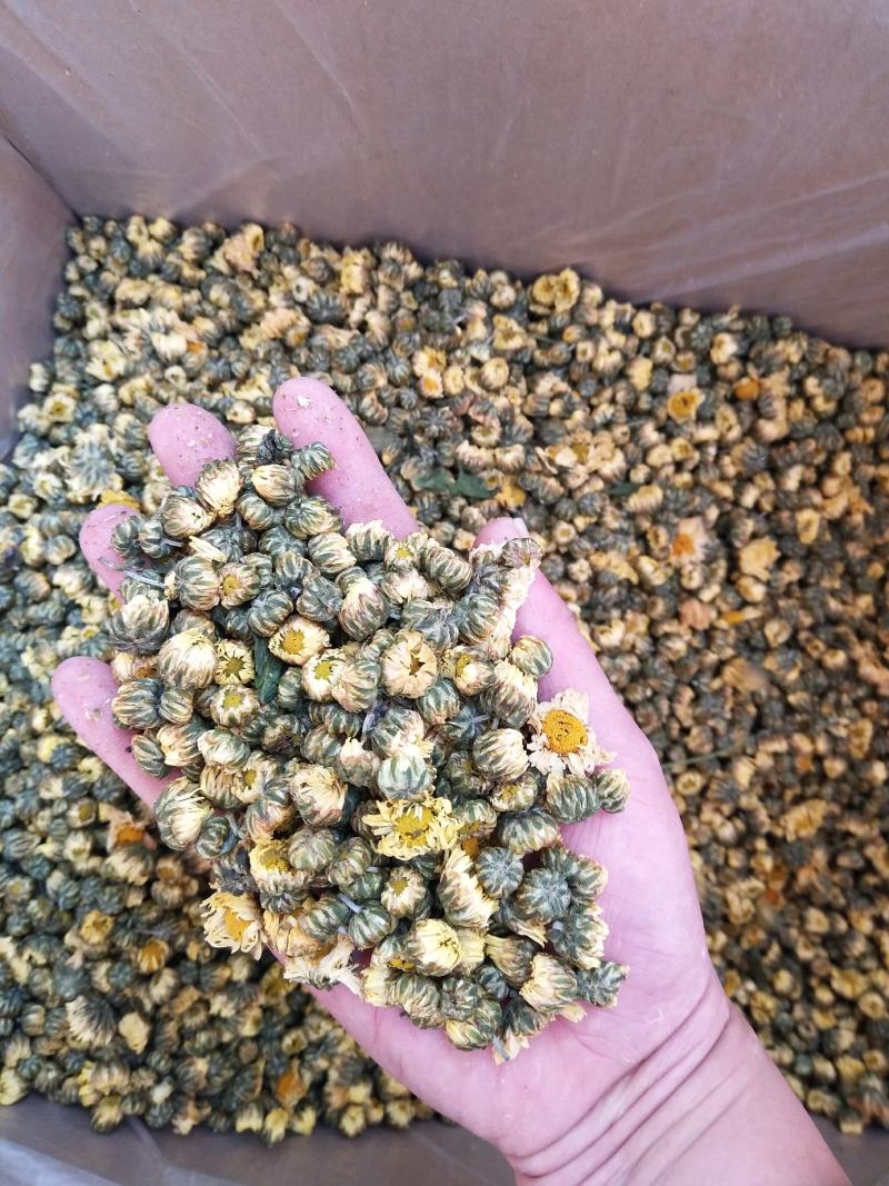无硫杭白菊，亳菊，药食同源。