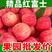 【红富士苹果】精选山东红富士苹果。冷库水晶红富士苹果一手货源