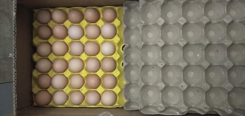 土鸡蛋供应合肥菜市场土鸡蛋粉蛋菜市场商超