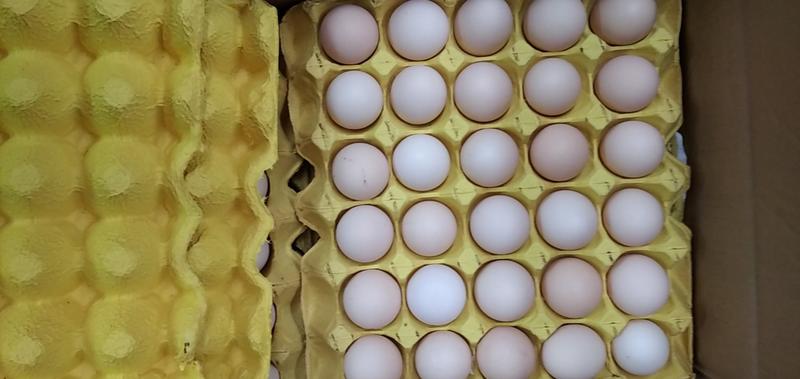 土鸡蛋供应合肥菜市场土鸡蛋粉蛋菜市场商超