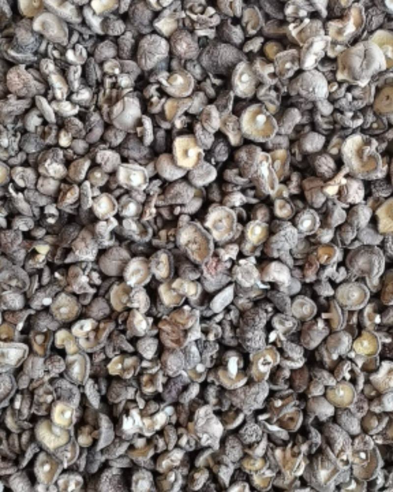 香菇干货土特产干货食用菌泌阳香菇农家金钱菇