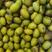 腌制橄榄盐池橄榄泡酒橄榄加工橄榄量大从优大量出售