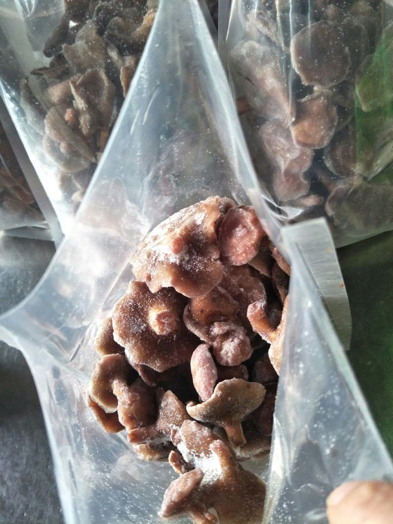 【冻红乳牛肝菌】餐厅、个人火锅用