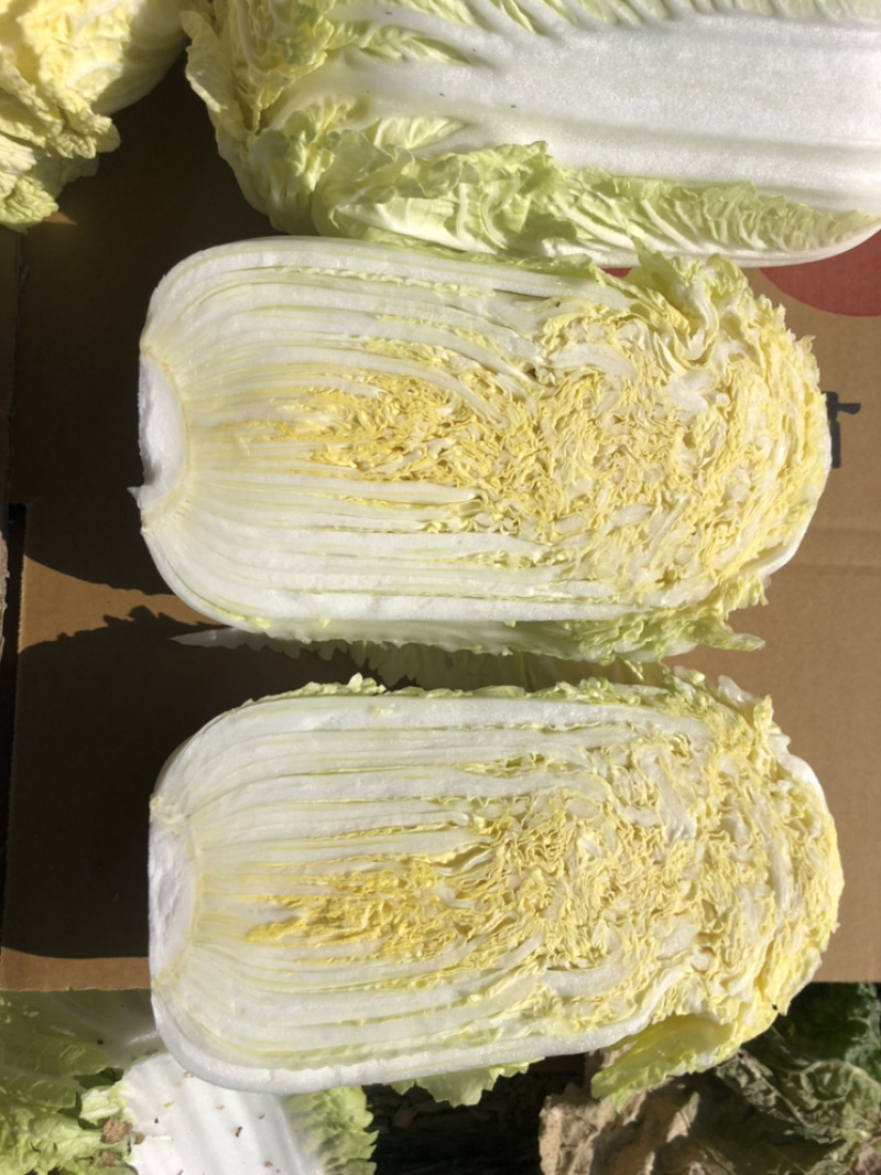 娃娃菜究极精品玲珑黄出口品质