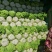 叶菜类北京新三号大白菜