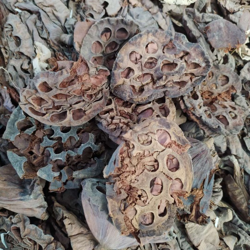 莲房产地直供支持线上交易可搭配多品种采购大货联系客