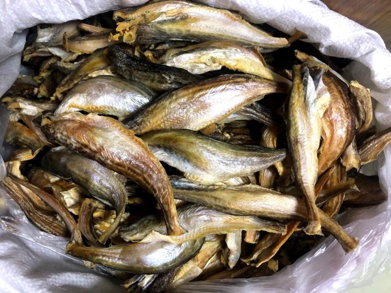 小龙鱼干鱼干全干货小黄鱼深海小龙鱼江湖地摊跑量