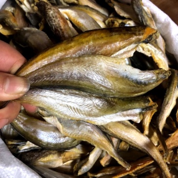 小龙鱼干鱼干全干货小黄鱼深海小龙鱼江湖地摊跑量