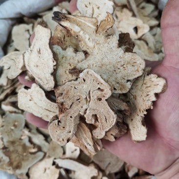 中药材，白术片，产地浙江，今年新货，颜色飘亮价格合理
