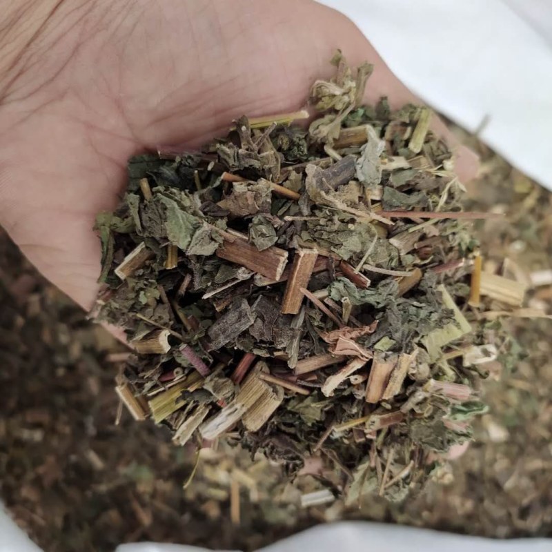 稀莶草豨签草可搭配多品种采购大货联系客服