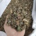 稀莶草豨签草可搭配多品种采购大货联系客服