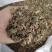 稀莶草豨签草可搭配多品种采购大货联系客服