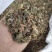 稀莶草豨签草可搭配多品种采购大货联系客服