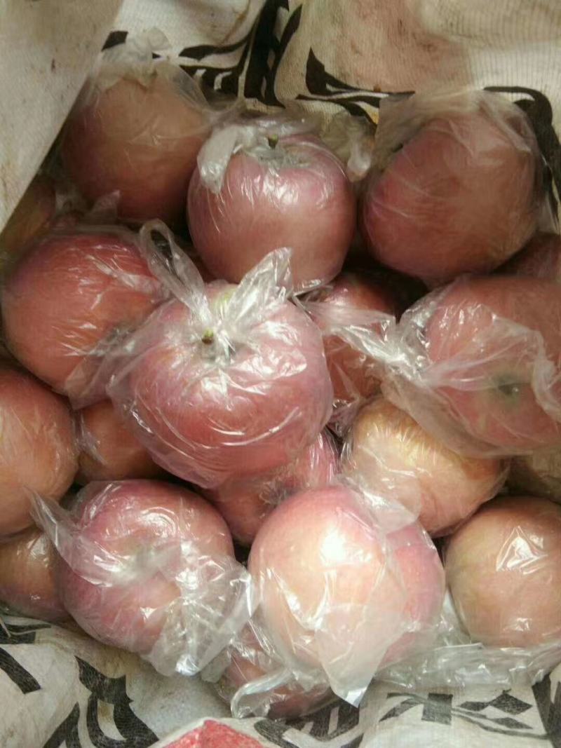 陕西特产富士王苹果,口感甜脆,可带皮吃,健康美容,泡沫拖