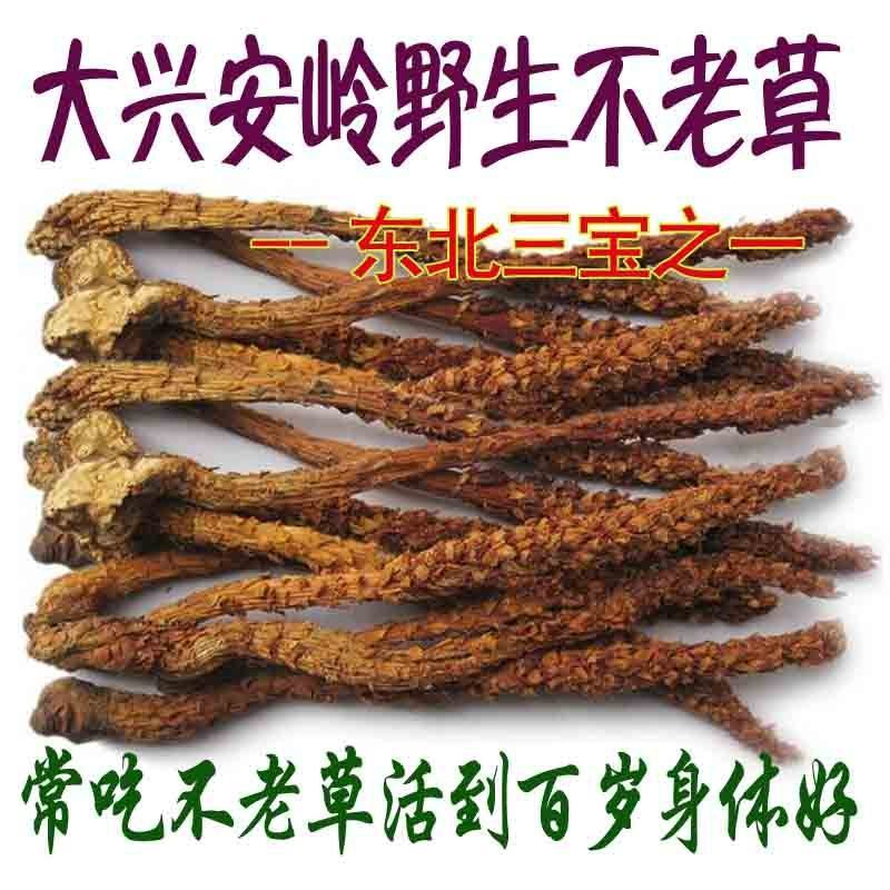 新货不老草草苁蓉泡酒料中药材列当大兴安岭野生30根