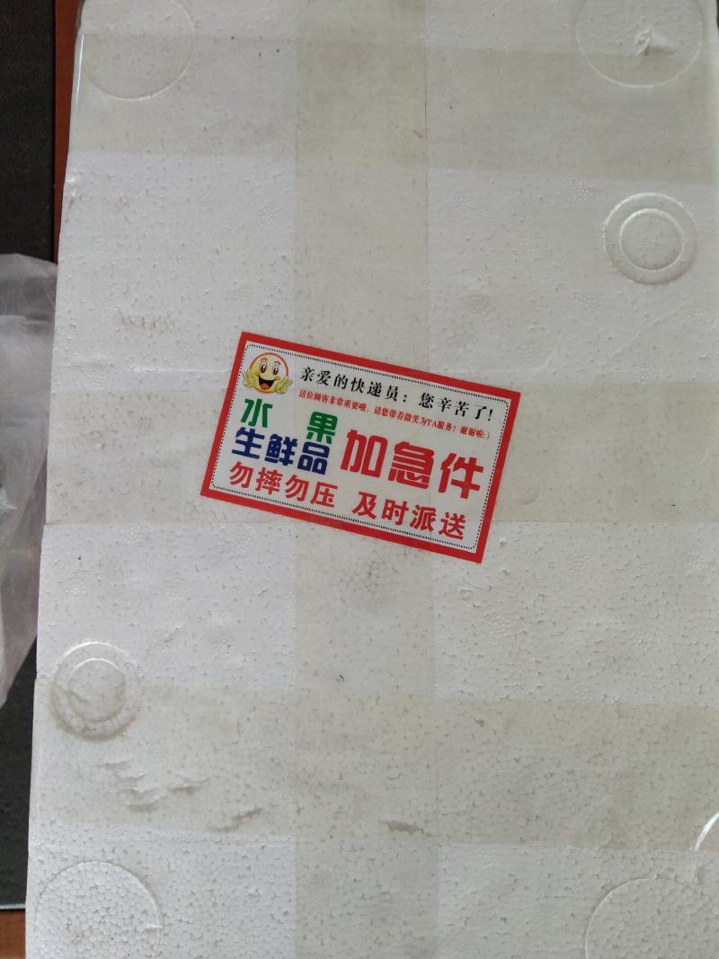 河南内乡深山农户自种春栽鲜菇，爱心助农，鲜货到家