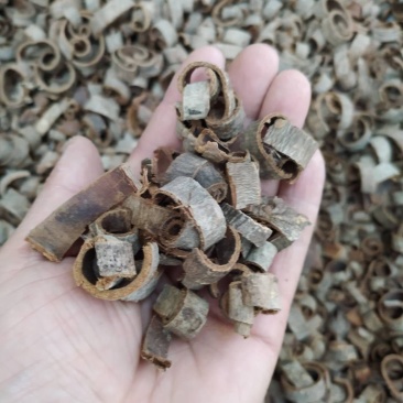 厚朴产地直供支持线上交易可搭配多品种采购大货联系客服