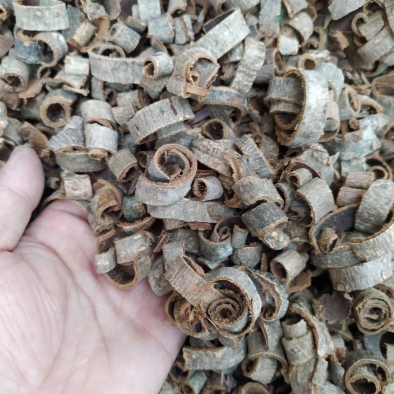 厚朴产地直供支持线上交易可搭配多品种采购大货联系客服