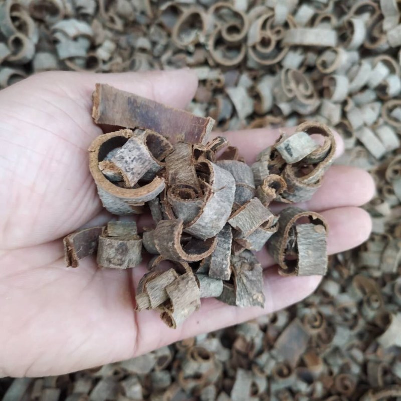厚朴产地直供支持线上交易可搭配多品种采购大货联系客服