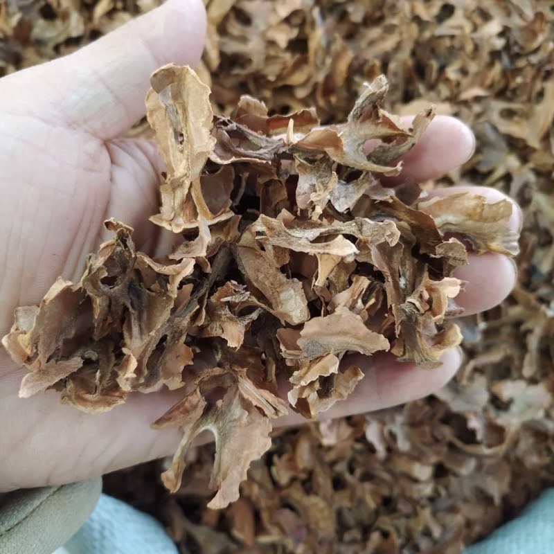 分心木产地直供支持线上交易可搭配多品种采购大货联系