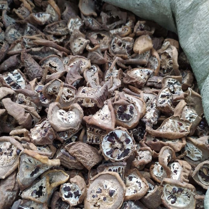 八月札预知子产地直供支持线上交易可搭配多品种采购
