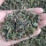 爵床草产地直供支持线上交易可搭配多品种采购