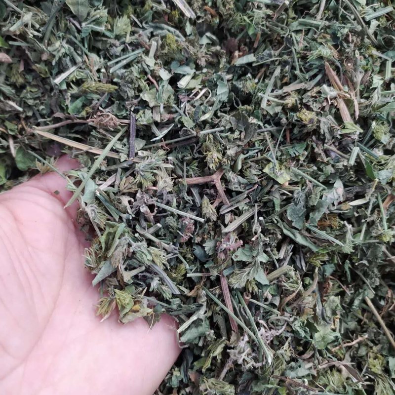 爵床草产地直供支持线上交易可搭配多品种采购