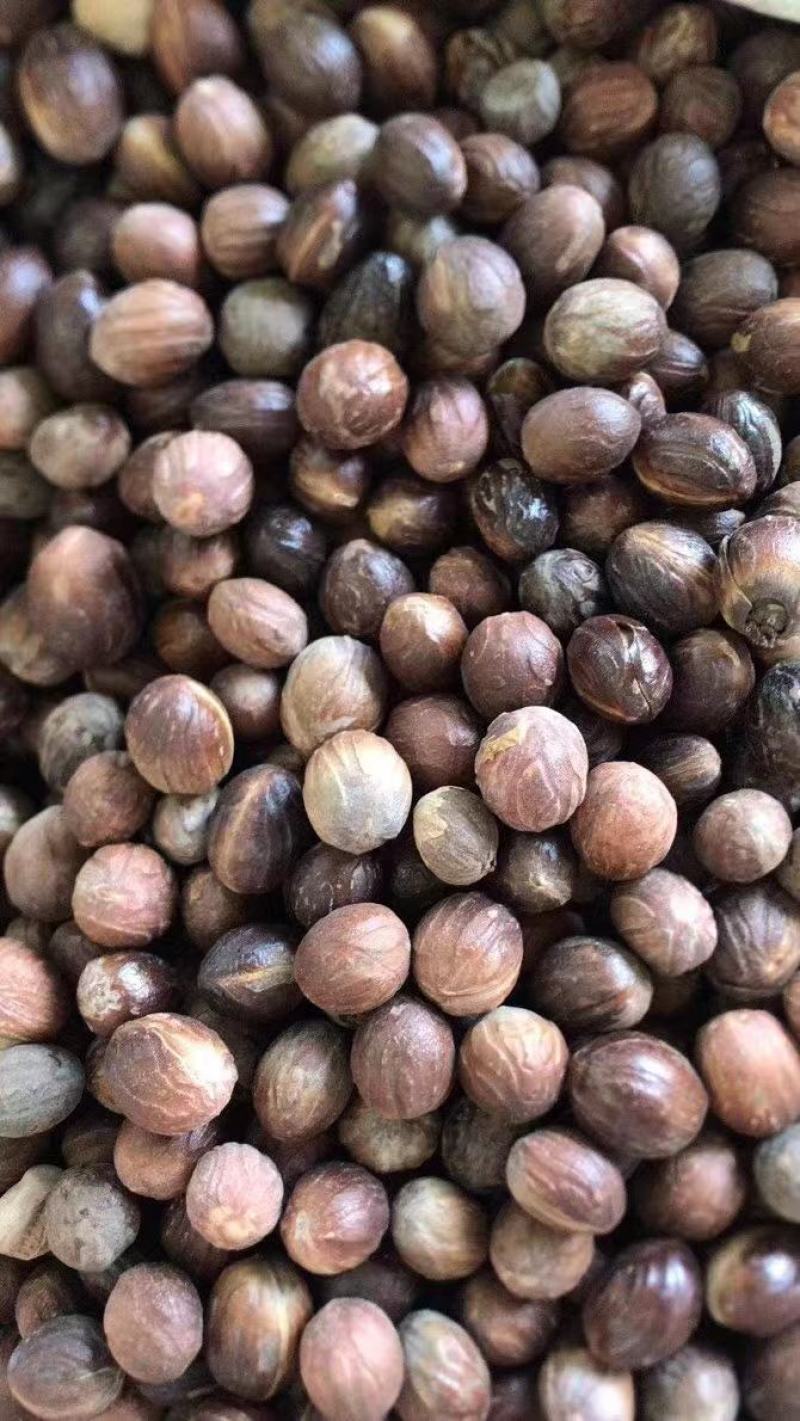 香果长，香果圆，炖卤香料，批零兼营