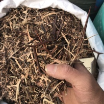 皂刺无硫皂刺干净无杂质规格齐全一手货源