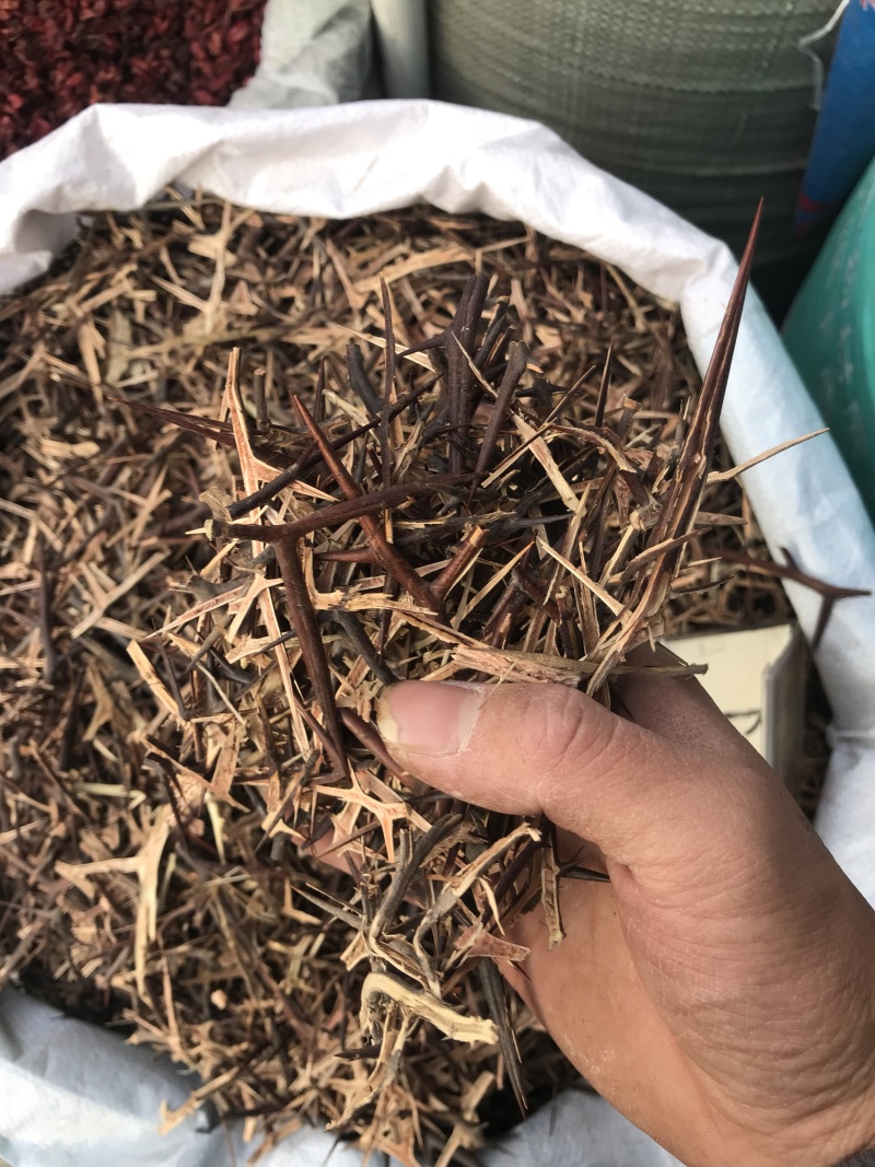皂刺无硫皂刺干净无杂质规格齐全一手货源