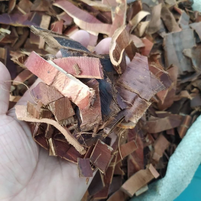 棕榈皮各种规可搭配多品种采购大货联系客服