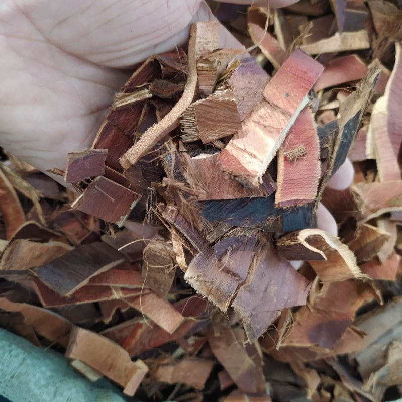 棕榈皮各种规可搭配多品种采购大货联系客服