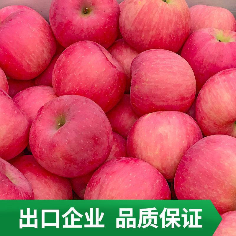【精品】烟台红富士苹果当季山东新鲜水果私发