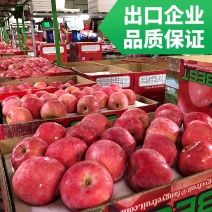 【精品】烟台红富士苹果当季山东新鲜水果私发