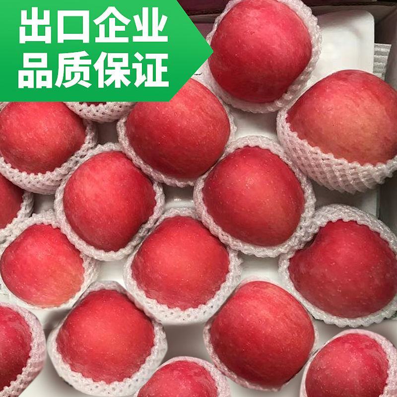 【精品】烟台红富士苹果当季山东新鲜水果私发
