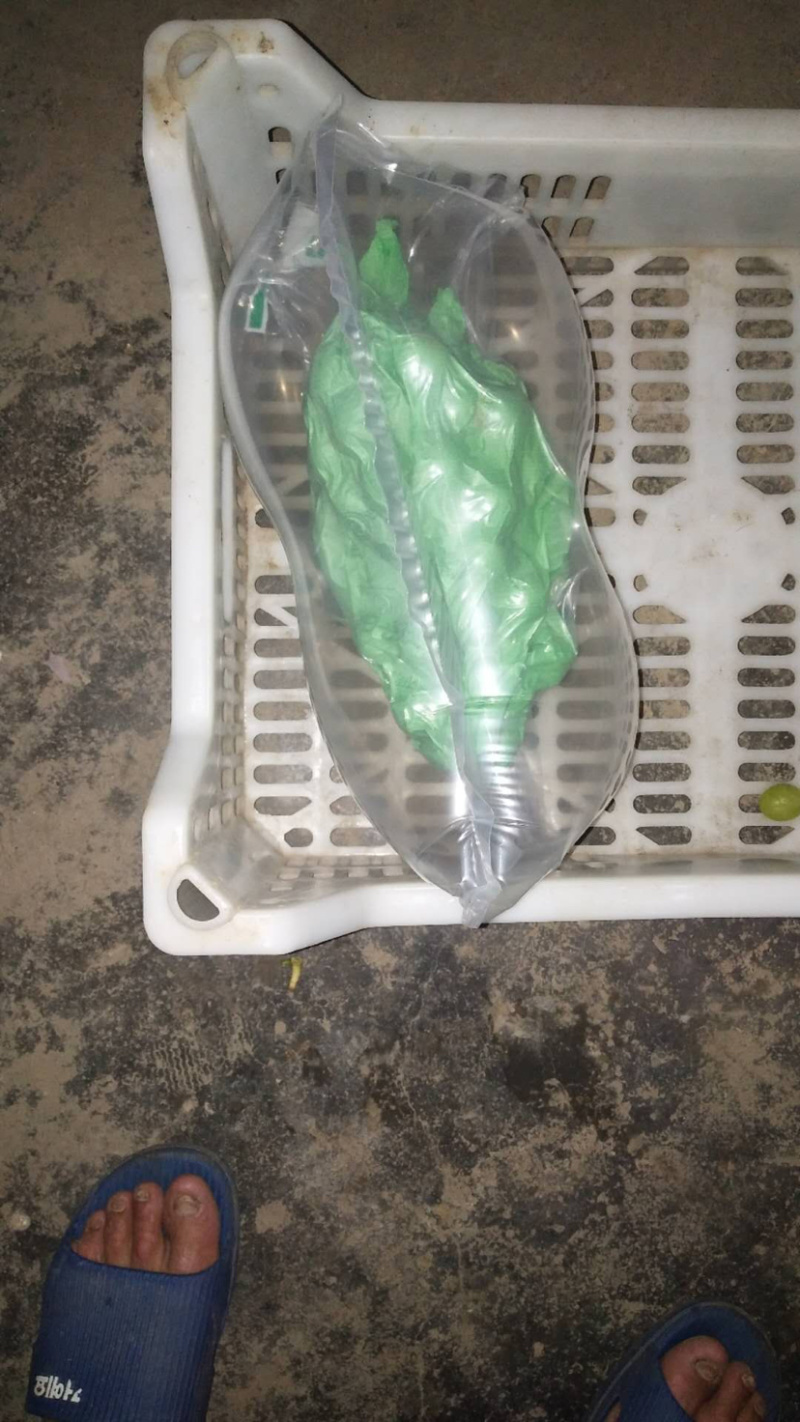 气柱袋厂家直销，各种型号可定制