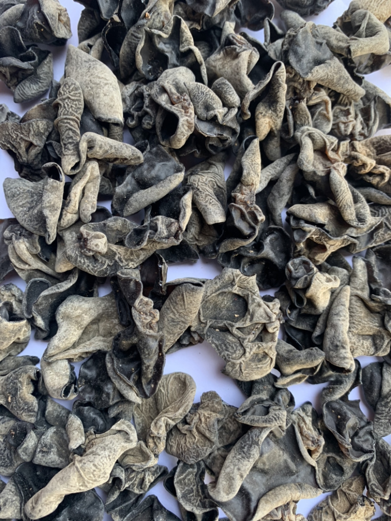 黑木耳毛木耳散装炒凉拌地摊展会产地批发