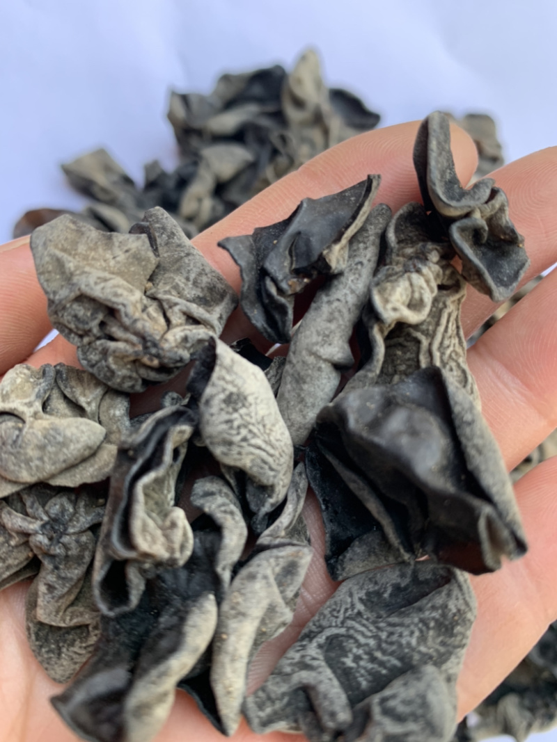 黑木耳毛木耳散装炒凉拌地摊展会产地批发