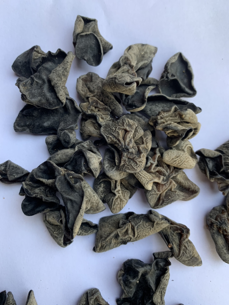 黑木耳毛木耳散装炒凉拌地摊展会产地批发