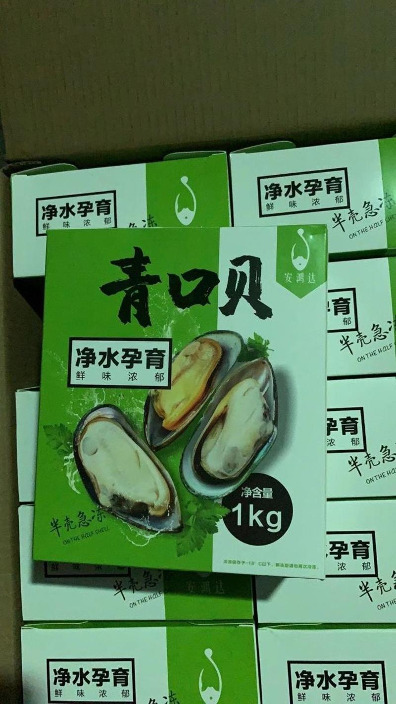 新西兰青口M号，一箱10盒，一盒1公斤/22个，上海大量