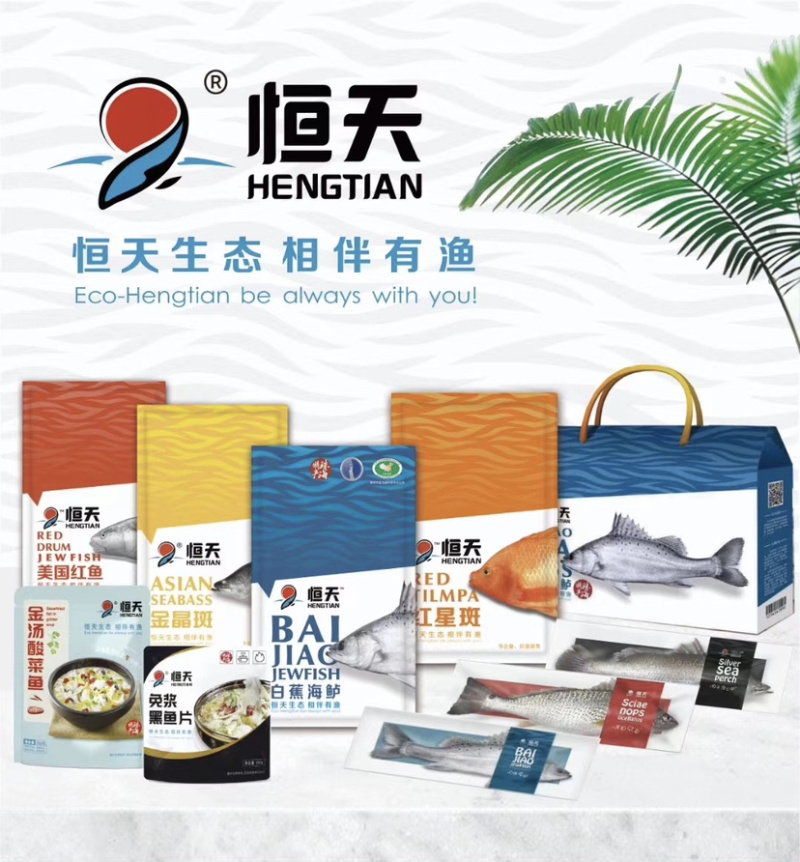 开背金目鲈游龙斑尖吻鲈鱼盲曹厂家直批有量有价